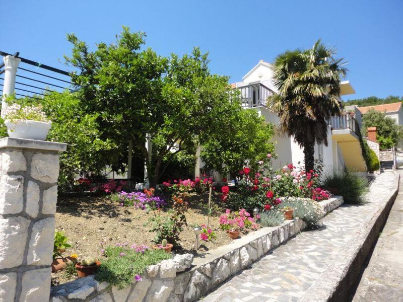 Guest House Pavkovic Slano Kültér fotó